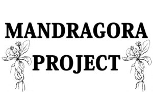 mandragora project